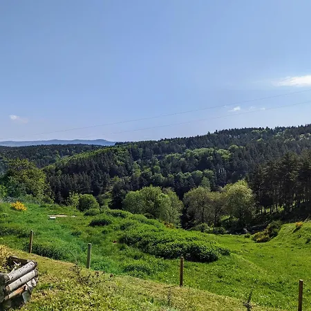 Holiday home Au Calme Avec Equipements Pmr, Parking, Animal Accepte - Fr-1-582-59 Saint-Prejet-d'Allier
